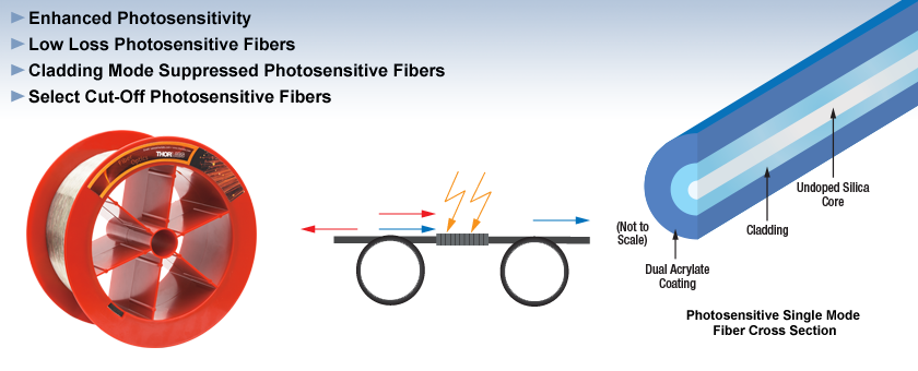 Photosensitive Single Mode Fiber