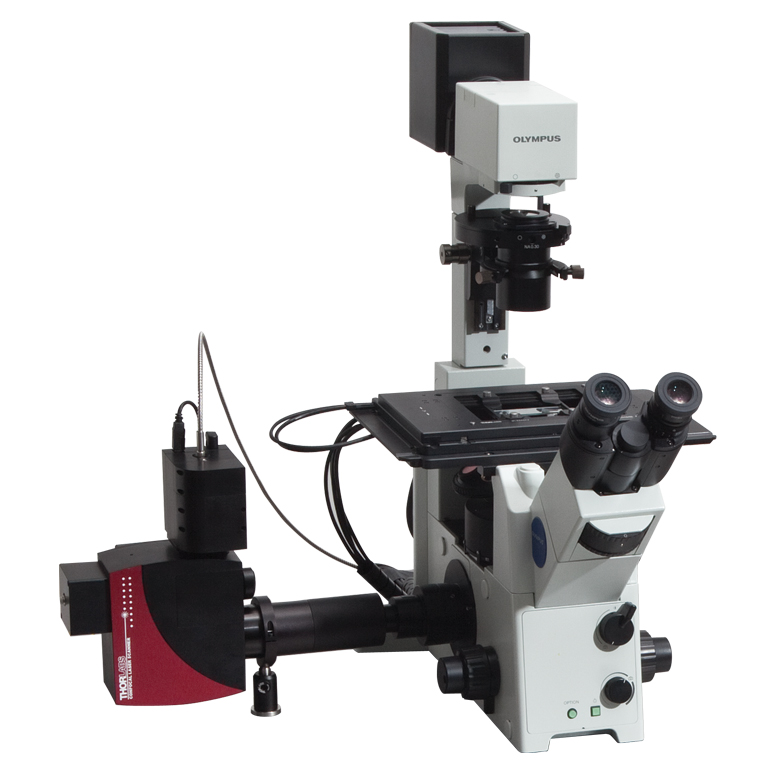 Confocal Microscope