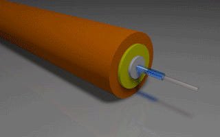 Light Propagation Down Graded Index Multimode Fiber (Click to Replay)