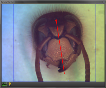 High Speed OCT Software Draw and Scan