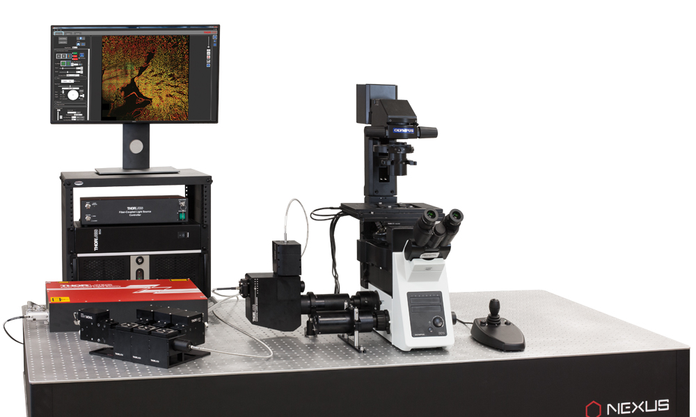 Confocal Microscopy Upgrade