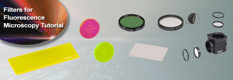 Filters for Fluorescence Microscopy Tutorial