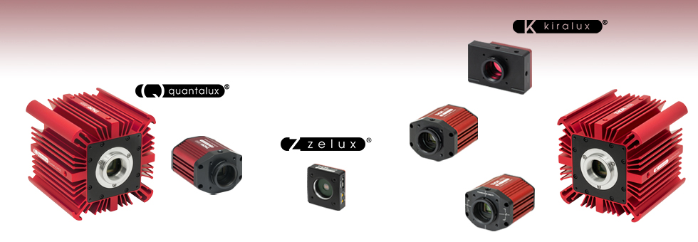 Scientific Camera Selection Guide