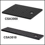 Breadboard Tops for Microscope Bodies<br>