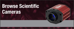Browse Scientific Cameras