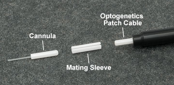 Fiber Optic Cannula and Interconnect