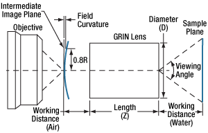 Microscopy Using a GRIN Lens