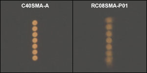 Divergence for 633 nm collimators