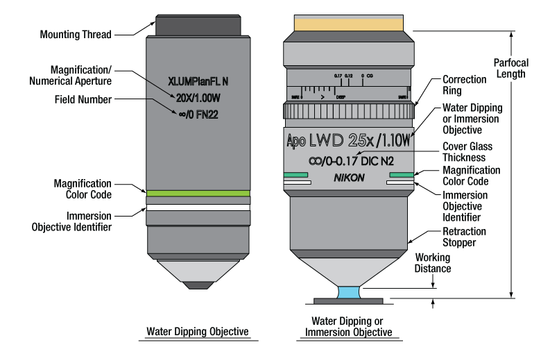 Physiology Objectives, Water Dipping or Immersion