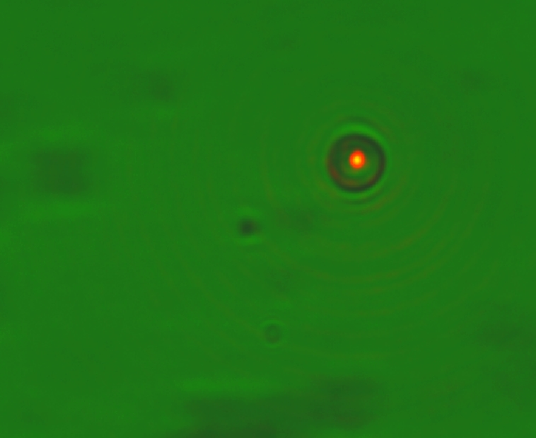 Portable Optical Tweezers Educational Kit