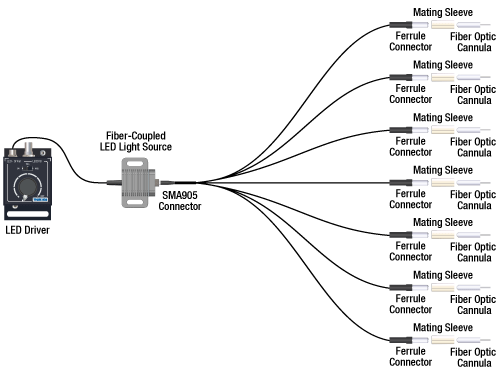 Optogenetics System Schematic