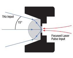 Antenna Close Up