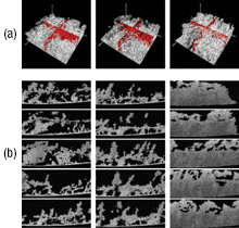 Figure 1.1