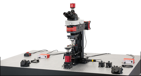 This microscope configuration is optimized for widefield imaging. It has a sCMOS camera and trinoculars to view the specimen, and supports Dodt contrast imaging and epi-fluorescence studies.