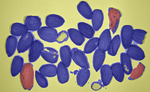 HSC23V with adapters