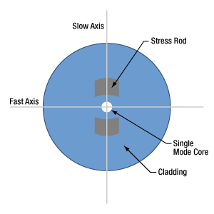 Diagram of bow-tie stress-birefringent PM fiber showing stress rods (SAP).