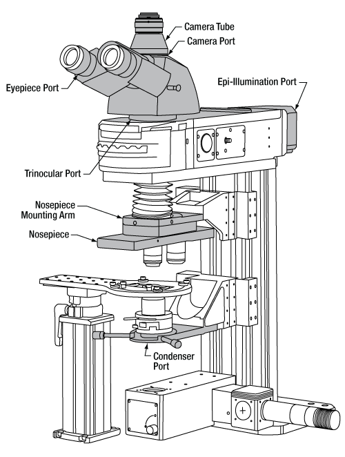 Cerna Microscope Ports