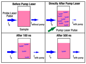 ZnTPP Concentration Schematic