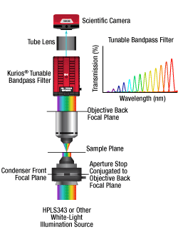 Hyperspectral Imaging with Cerna