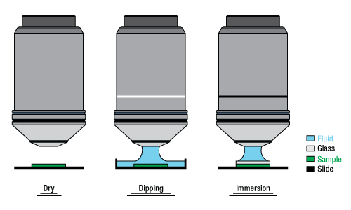 Immersion Methods