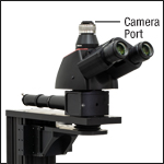 Trinoculars with Camera Port