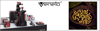 Veneto® Inverted Microscopes Veneto® Inverted Microscopes