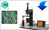 Birefringence Imaging Microscopes