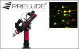 Prelude® Functional Imaging Microscope Prelude® Functional Imaging Microscope