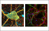 Microscopy Systems Overview