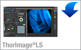 ThorImage<sup>®</sup>LS Microscopy Software