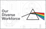 Our Diverse Workforce