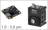 InAsSb Amplified Photodetectors